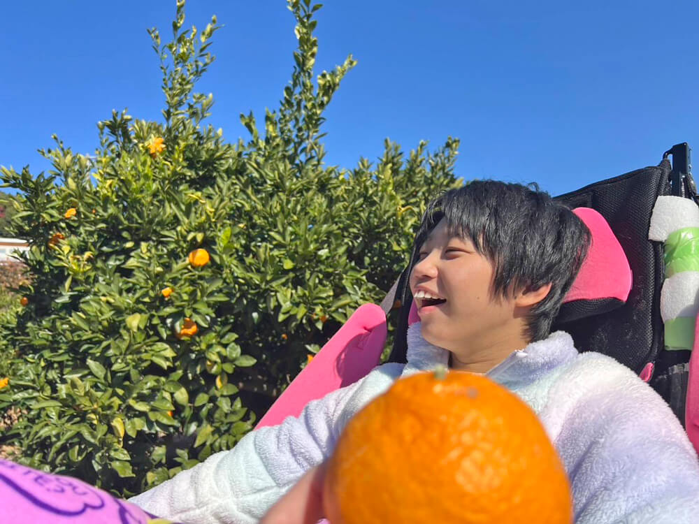 戸倉園みかん狩りの様子04