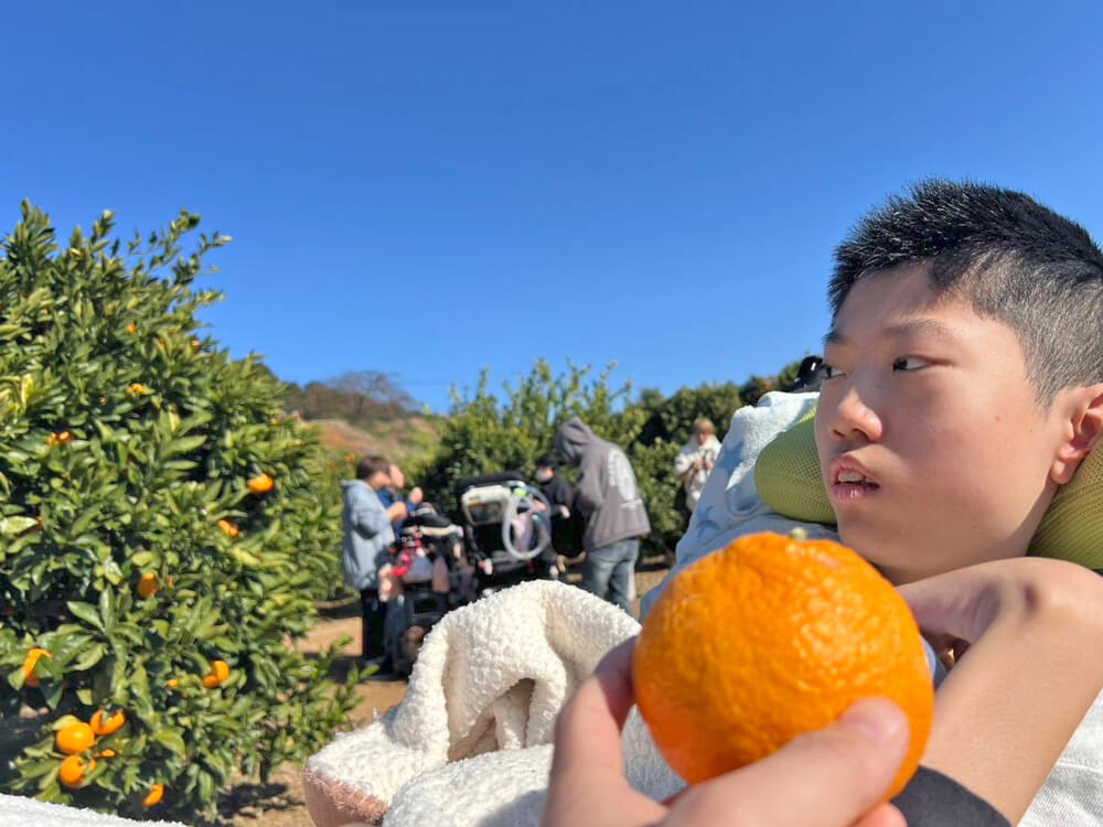 戸倉園みかん狩りの様子05