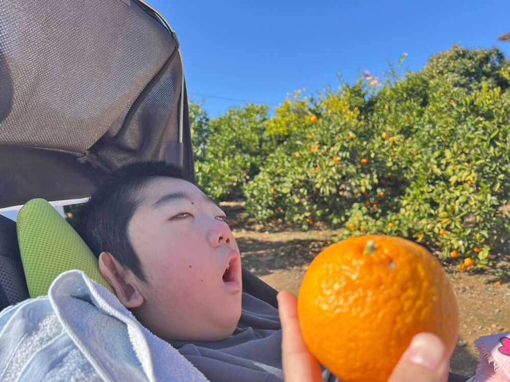 戸倉園みかん狩りの様子06
