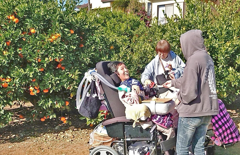 戸倉園みかん狩りの様子07