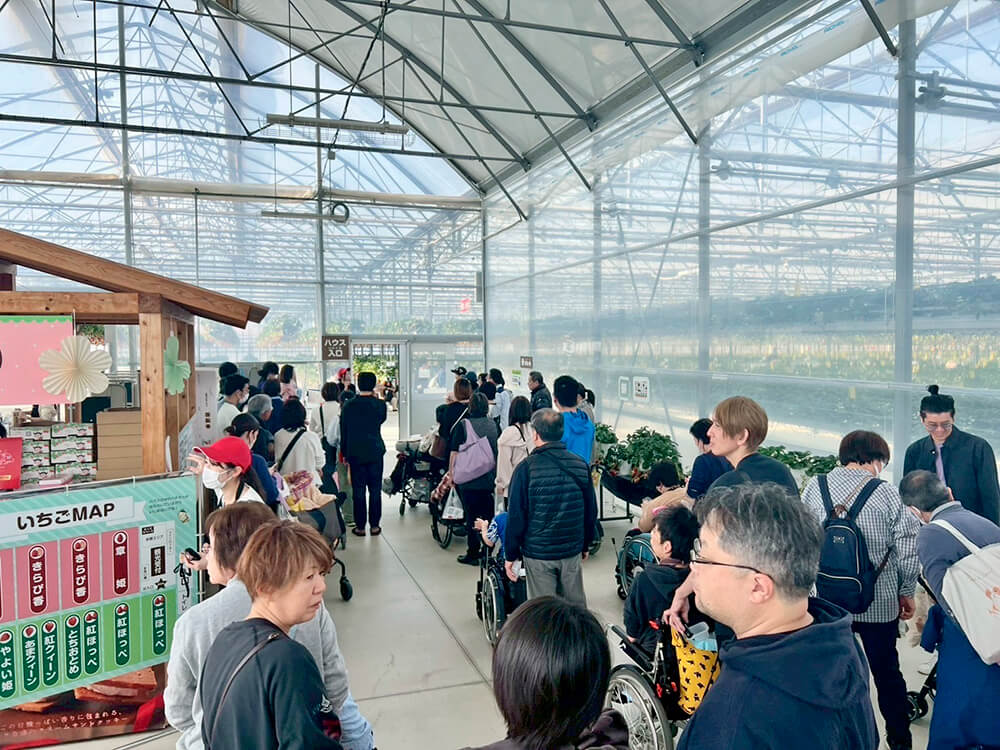 いちご空中農園体験02