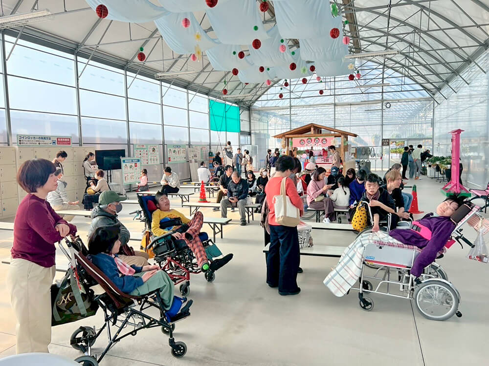 いちご空中農園体験03